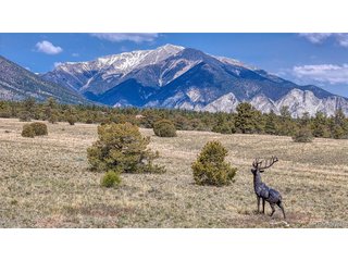 (TBD) Dry Gulch Road Nathrop, CO 81236