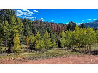 136 Gold Crown Cir Cripple Creek, CO 80813