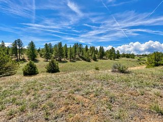 103 Cheyenne Ct Cotopaxi, CO 81223