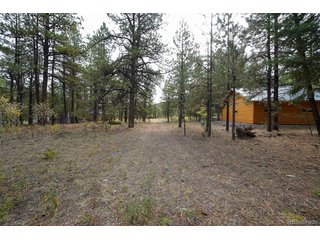 136 Elk Meadow Run Antonito, CO 81120