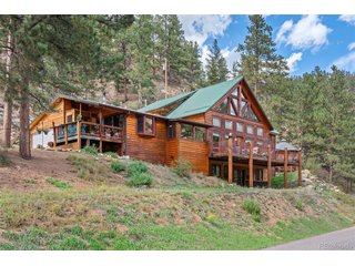 17025 SW Platte River Rd Pine, CO 80433