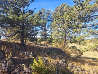 2151 County Road 403 Lake George, CO 80827