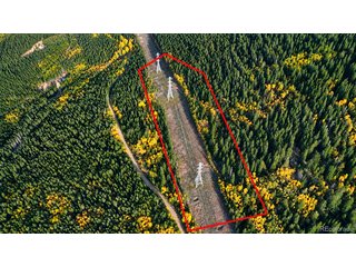 (TBD) Dead Head Mine Idaho Springs, CO 80452