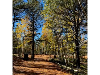 800 Timber Ridge Rd Divide, CO 80814