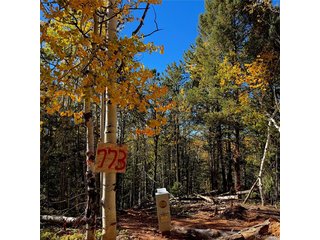 773 Timber Ridge Rd Divide, CO 80814