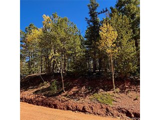 624 Witherite Dr Divide, CO 80814