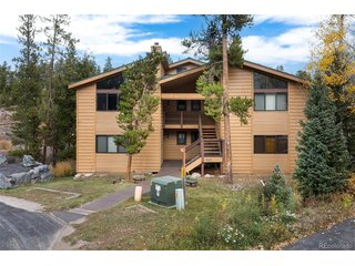 843 Badger Ln C Fraser, CO 80442