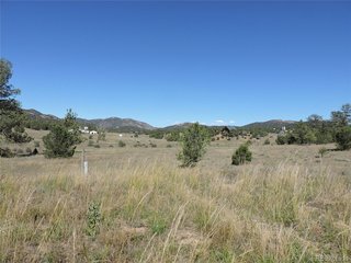 115 Harmon Way Cotopaxi, CO 81223