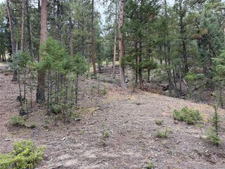 0 Tobbogan Rd Pine, CO 80407