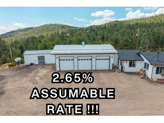 33758 Harmon Rd Pine, CO 80470