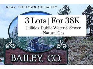 214 Virginia Rd Bailey, CO 80421